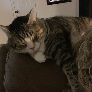 Meet your Posher, Miranda